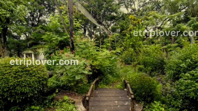 Butterfly Park Pune